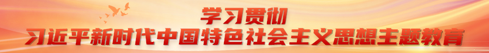 學習貫徹習近平新時代中國特色社會主義思想主題教育